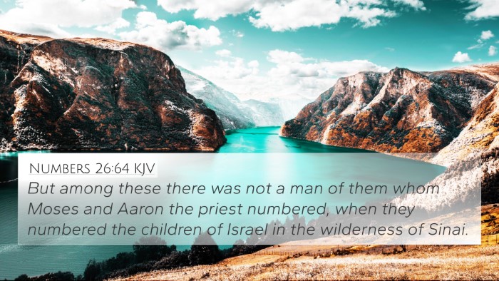 Numbers 26:64 KJV Bible Verse Image