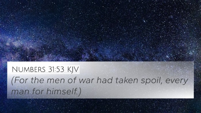 Numbers 31:53 Explained