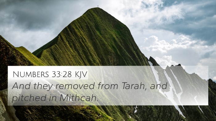 Numbers 33:28 Explained