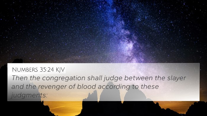 Numbers 35:24 KJV Bible Verse Image
