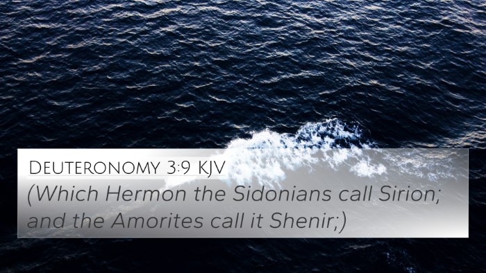 Deuteronomy 3:9 Explained