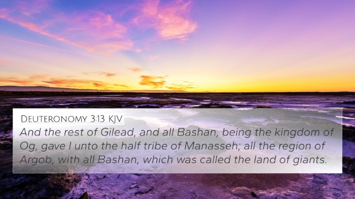 Deuteronomy 3:13 Explained