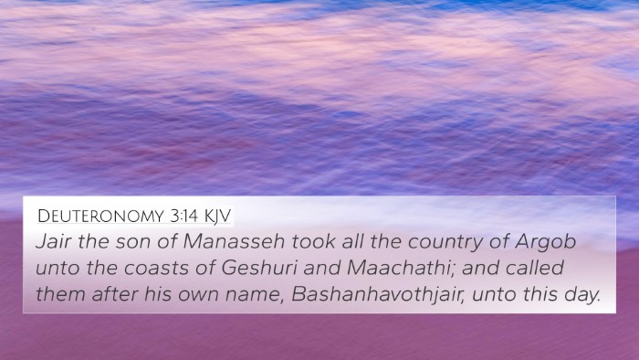 Deuteronomy 3:14 Explained