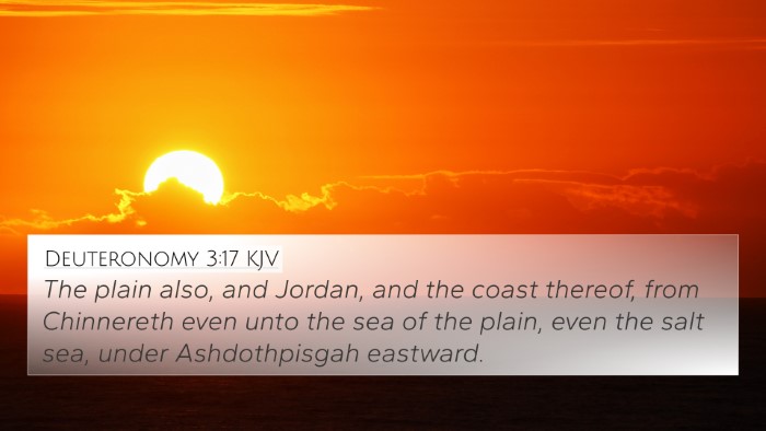 Deuteronomy 3:17 Explained