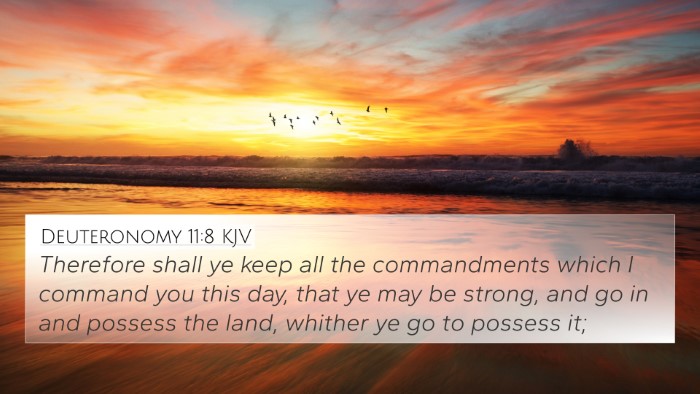 Deuteronomy 11:8 Explained