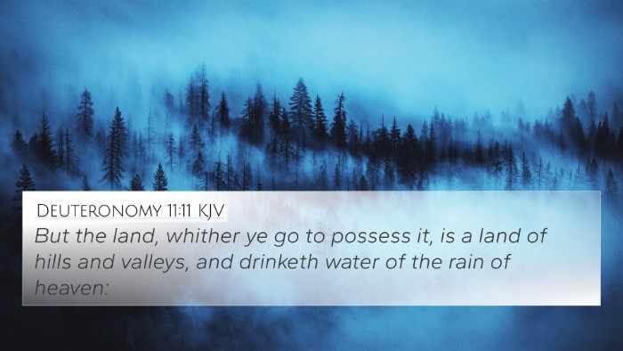 Deuteronomy 11:11 Explained
