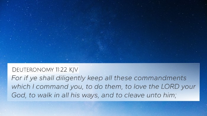 Deuteronomy 11:22 Explained