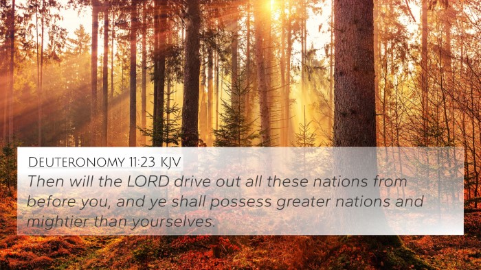 Deuteronomy 11:23 Explained
