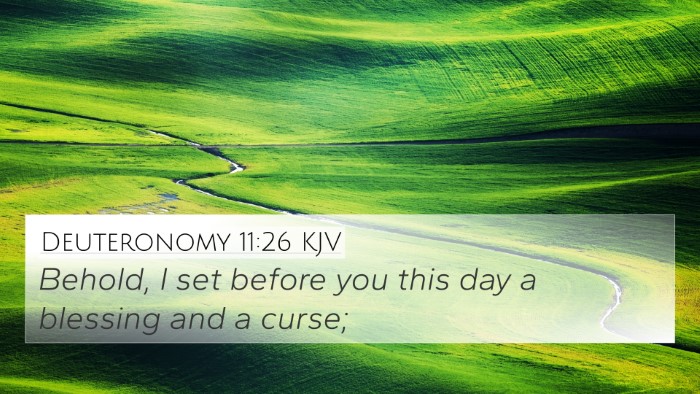 Deuteronomy 11:26 KJV Bible Verse Image