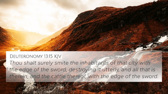 Deuteronomy 13:15 Explained