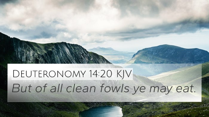 Deuteronomy 14:20 KJV Bible Verse Image