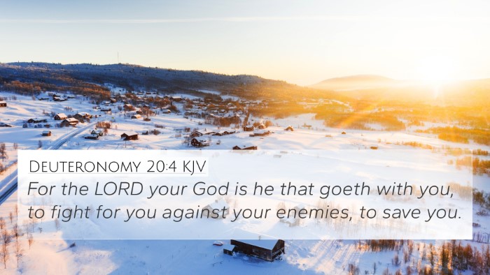 Deuteronomy 20:4 Explained