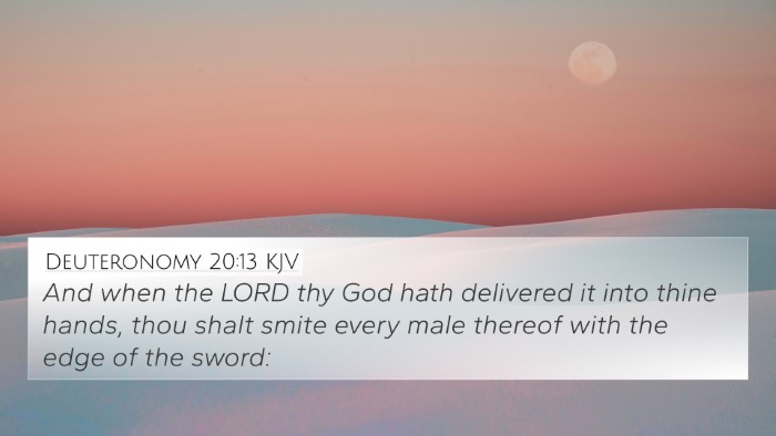 Deuteronomy 20:13 Explained