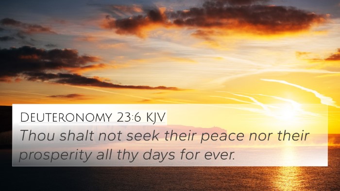 Deuteronomy 23:6 Explained