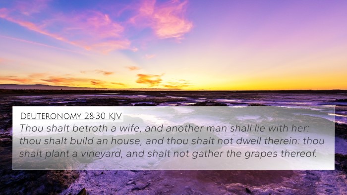 Deuteronomy 28:30 KJV Bible Verse Image