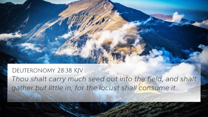 Deuteronomy 28:38 KJV Bible Verse Image
