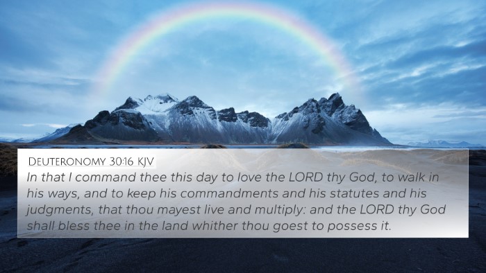 Deuteronomy 30:16 KJV Bible Verse Image
