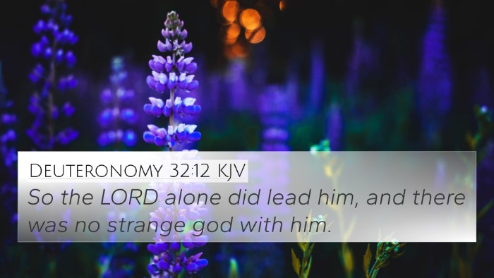 Deuteronomy 32:12 Explained