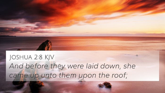 Joshua 2:8 KJV Bible Verse Image