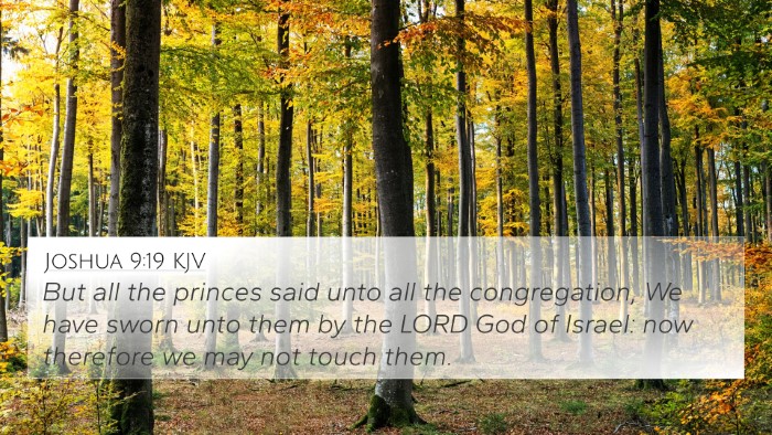 Joshua 9:19 Explained