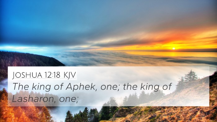 Joshua 12:18 KJV Bible Verse Image
