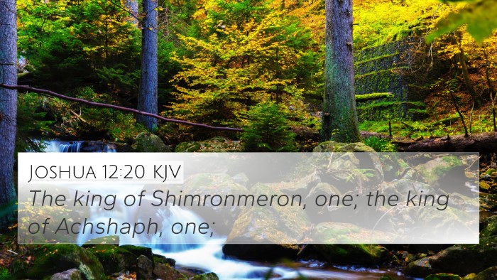Joshua 12:20 KJV Bible Verse Image