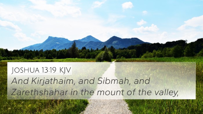 Joshua 13:19 KJV Bible Verse Image
