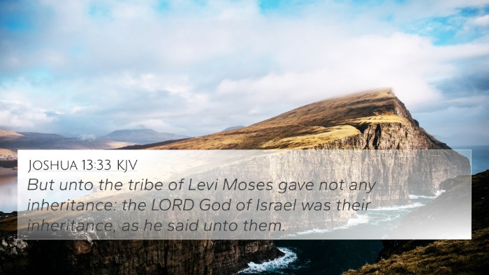 Joshua 13:33 KJV Bible Verse Image