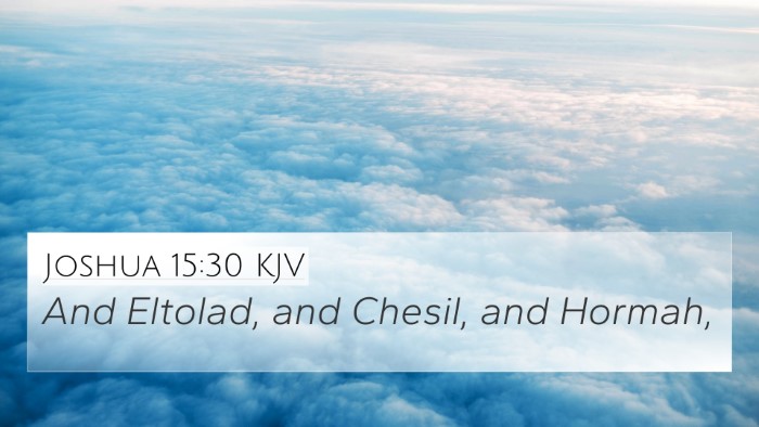 Joshua 15:30 KJV Bible Verse Image