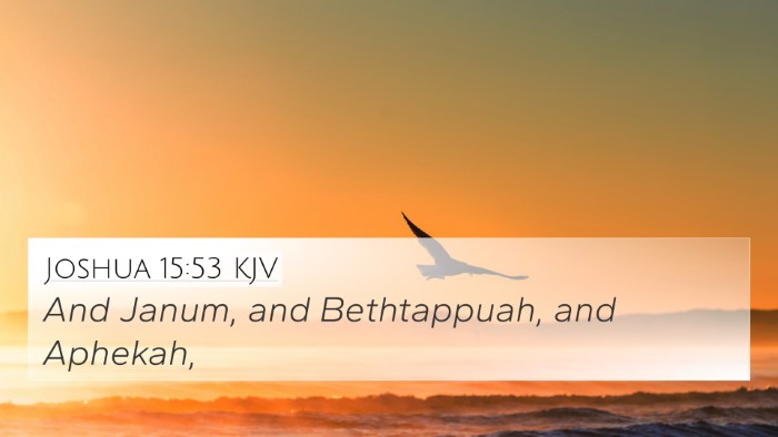 Joshua 15:53 KJV Bible Verse Image