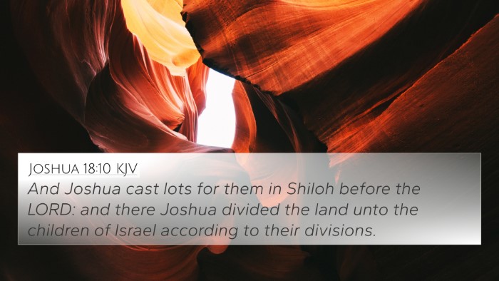 Joshua 18:10 KJV Bible Verse Image