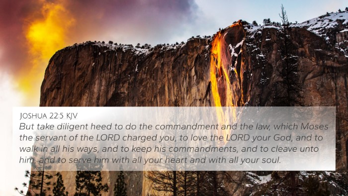 Joshua 22:5 KJV Bible Verse Image