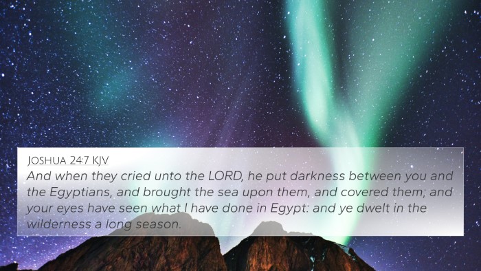 Joshua 24:7 KJV Bible Verse Image