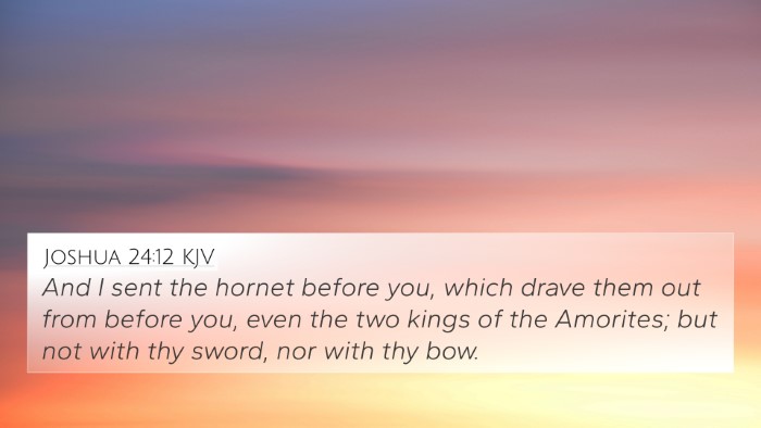 Joshua 24:12 KJV Bible Verse Image