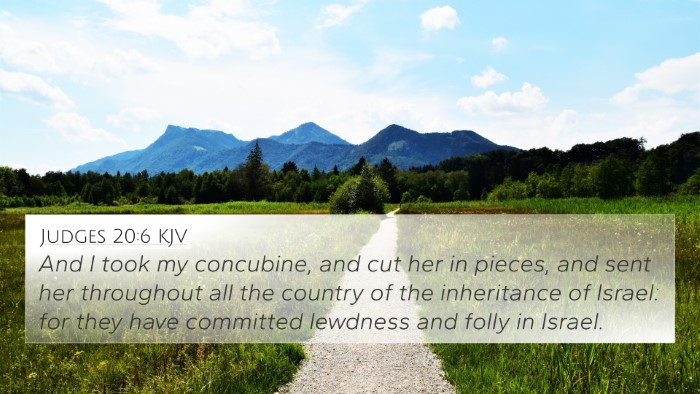 Judges 20:6 KJV Bible Verse Image