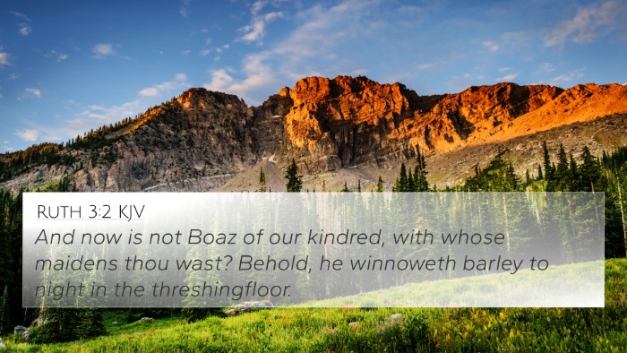 Ruth 3:2 KJV Bible Verse Image