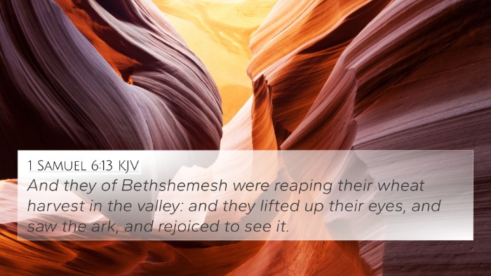 1 Samuel 6:13 Explained
