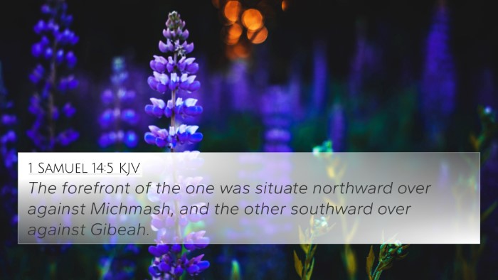 1 Samuel 14:5 Explained