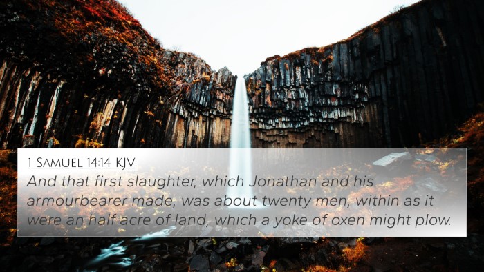 1 Samuel 14:14 Explained