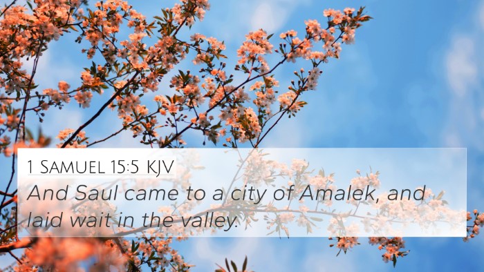 1 Samuel 15:5 Explained