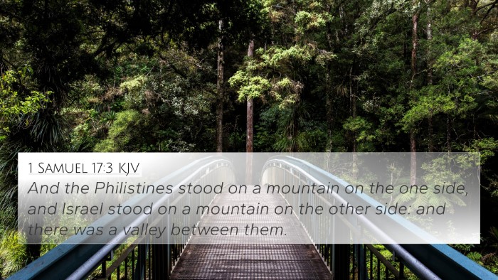 1 Samuel 17:3 Explained