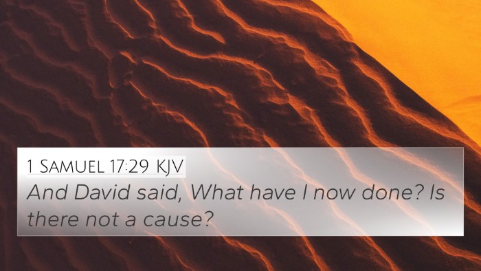 1 Samuel 17:29 Explained