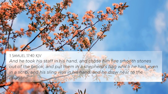 1 Samuel 17:40 Explained