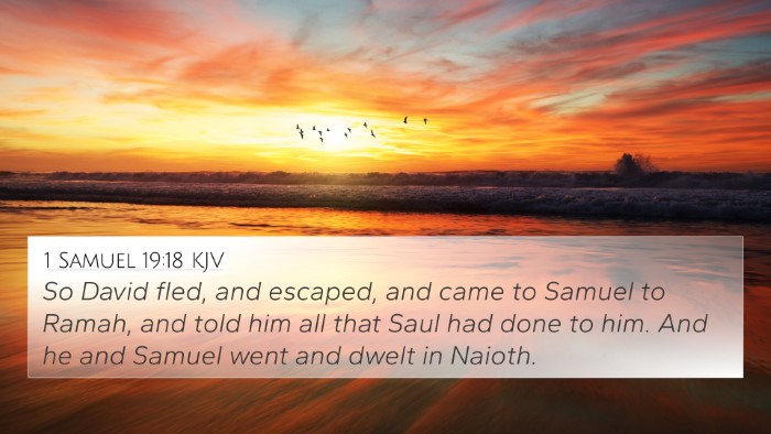 1 Samuel 19:18 Explained