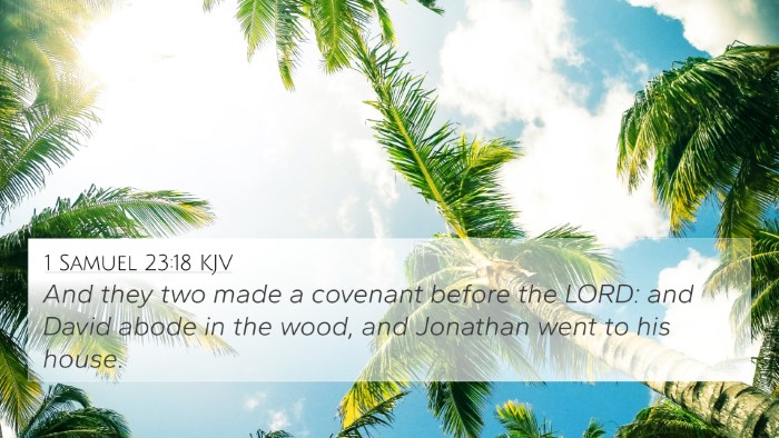 1 Samuel 23:18 Explained