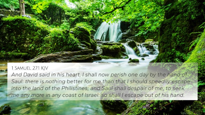 1 Samuel 27:1 Explained