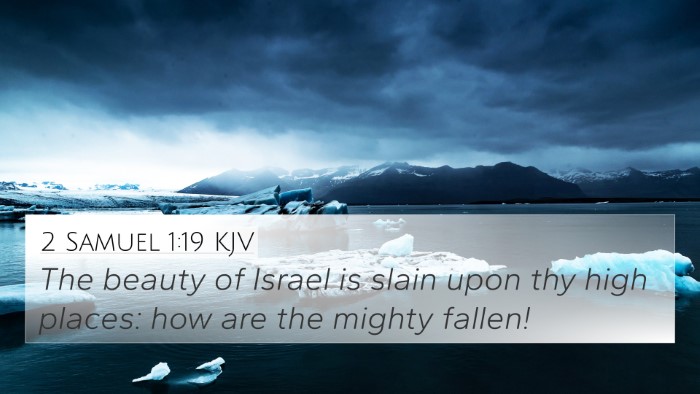 2 Samuel 1:19 KJV Bible Verse Image