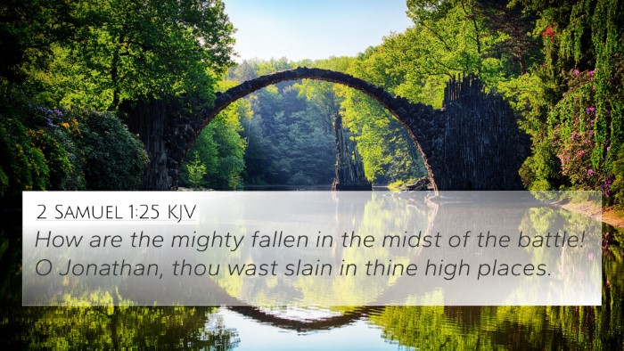 2 Samuel 1:25 KJV Bible Verse Image