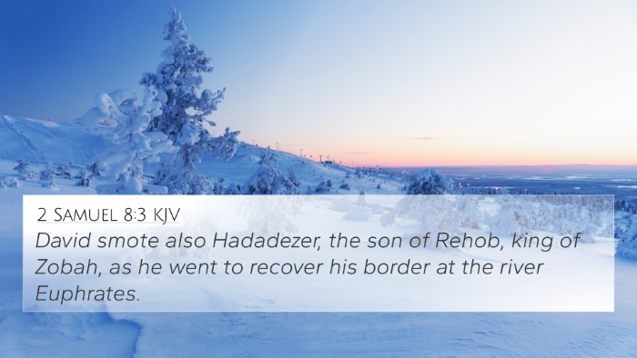 2 Samuel 8:3 KJV Bible Verse Image