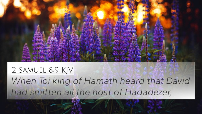 2 Samuel 8:9 KJV Bible Verse Image